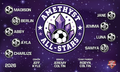 B4064 Amethyst All Stars 3x5 Banner 