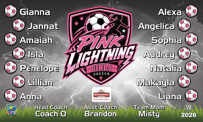 B4065 Pink Lightning  3x5 Banner 