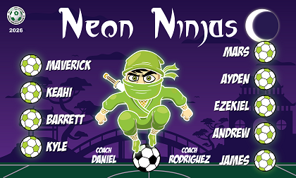 B4067 Neon Ninjas 3x5 Banner 