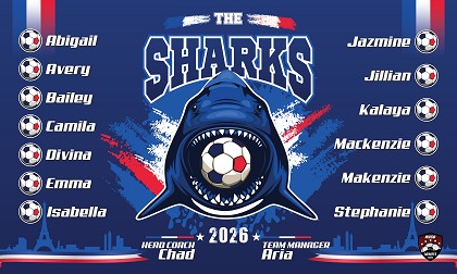 B4071 France Sharks 3x5 Banner 