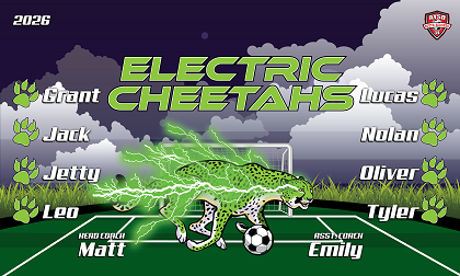 B4072 Electric Cheetahs 3x5 Banner 
