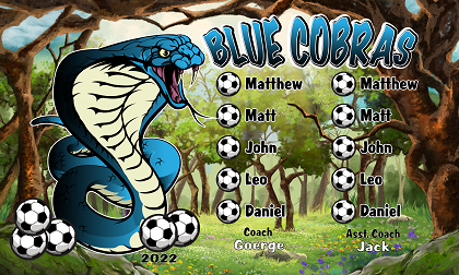 B3244 Blue Cobras 3x5 Banner 