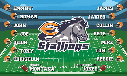 B3377 Eastvale Stallions 3x5 Banner 