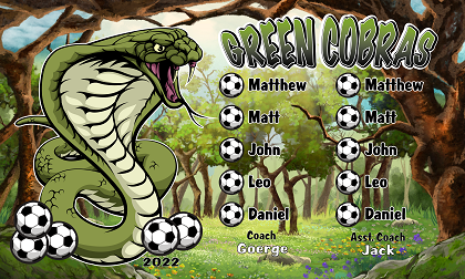 B3245 Green Cobras 3x5 Banner 