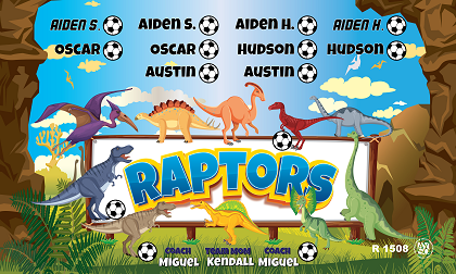 B3271 Raptors 3x5 Banner 