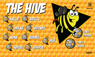 B2943 The Hive 3x5 Banner 