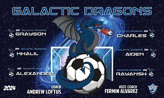 B3696 Galactic Dragons 3x5 Banner 