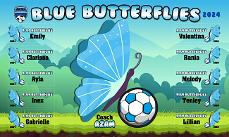 B3764 Blue Butterfly  3x5 Banner 