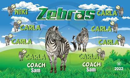 B3085 Zebras 3x5 Banner 